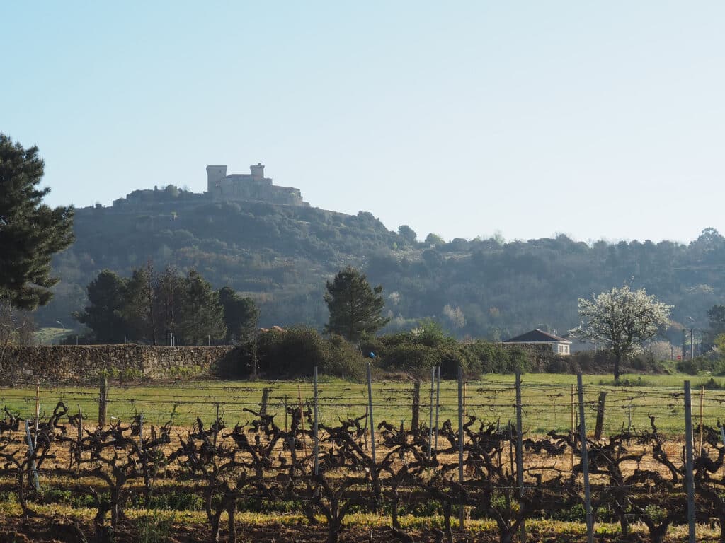 Castelo de Monterrei, Ourense. Fundación Juana de Vega